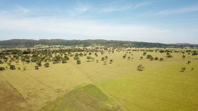 Fazenda 16.5 Alqueires ( 80 ha) Aragoiânia-GO - Foto 12