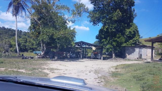 Maravilhosa Fazenda em Barrolândia, Belmonte - BA com 809 Hectares... - Foto 6