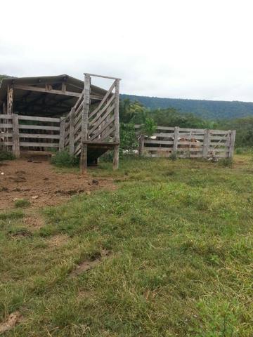 Fazenda com 806 hectares na Agrovila das Palmeiras a 130 km de Cuiabá