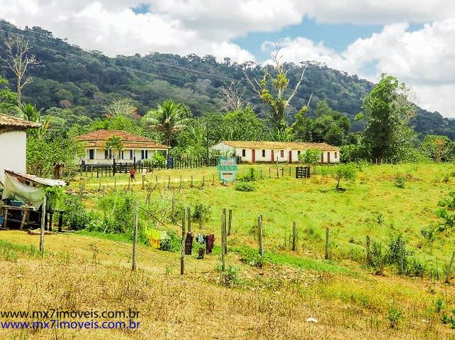 Fazenda mista de cacau e gado. Área de 203 Hectares - Foto 10