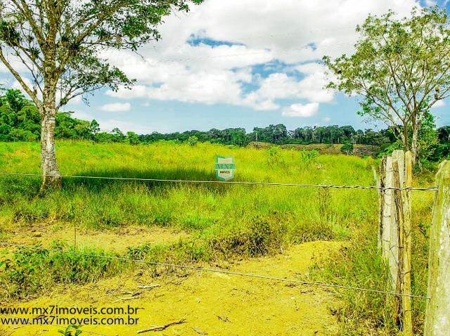 Fazenda mista de cacau e gado. Área de 203 Hectares - Foto 15