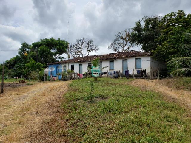 Ubaitaba. Fazenda produtiva de 139 Hectares a beira do asfalto. - Foto 6
