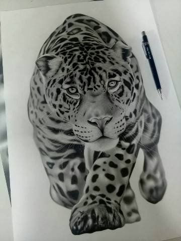 Curso de desenho imperdível - Foto 3