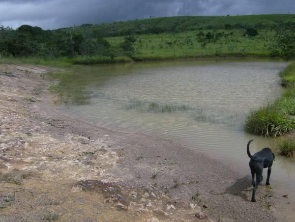 Fazenda escriturada formada ao lado de Brasília troca 61 9 * - Foto 4