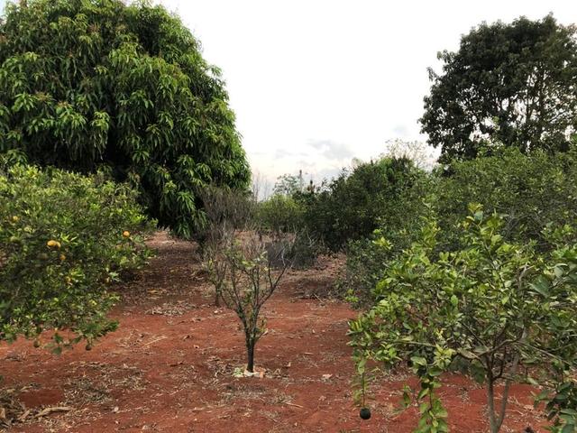 Chácara em Alfenas - Foto 14