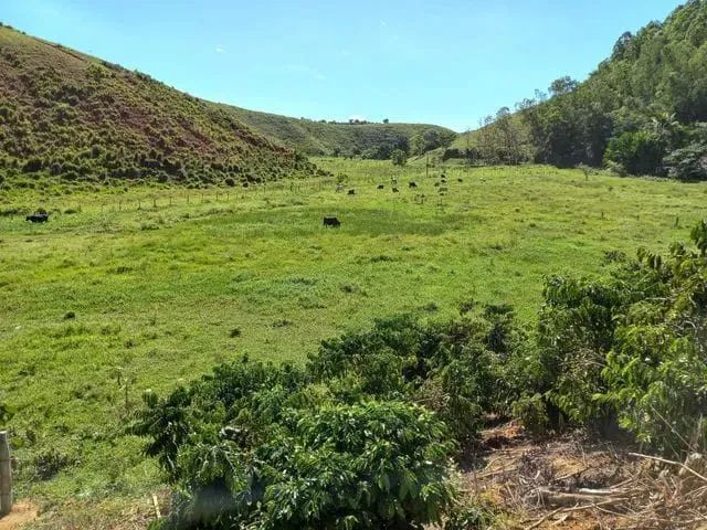 Venda-se está propriedade de 9 Alqueires no Município/ES. - Foto 6