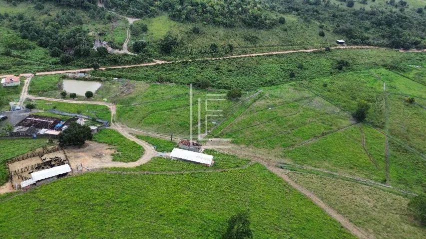 Fazenda completa em Flexeiras com ótima casa sede e 30 hectares - Foto 3