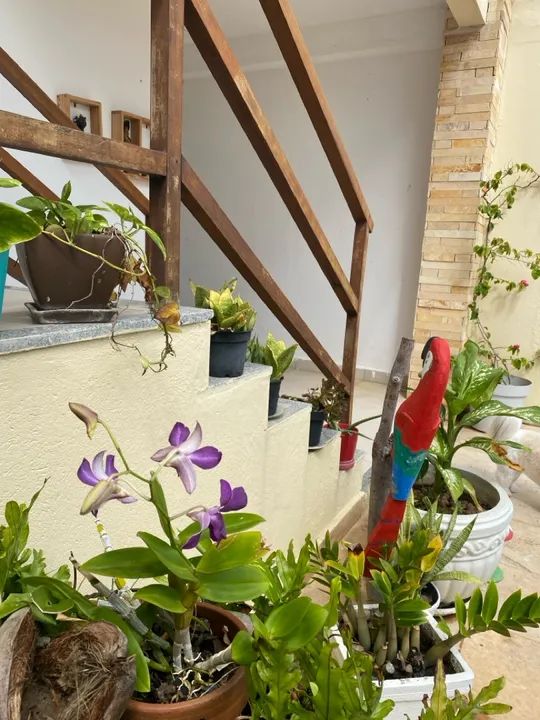 Fortaleza/Praia do Futuro/férias - Foto 6