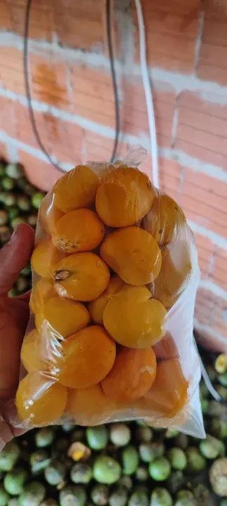 Vende-se pequi 15 reais  - Foto 2