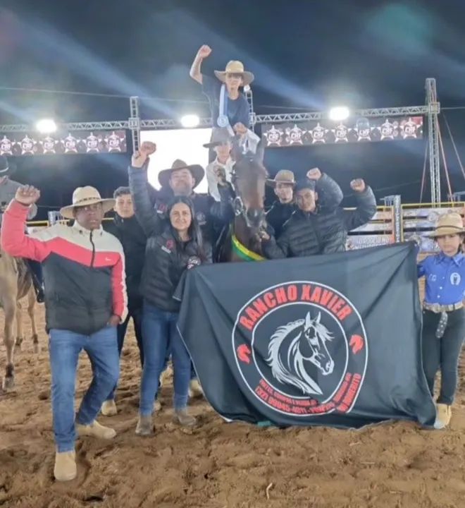 Cavalo de pista oportunidade - Foto 3