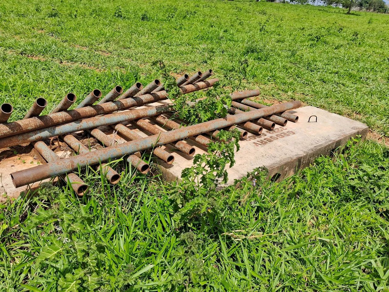 Mata burro  - Foto 6