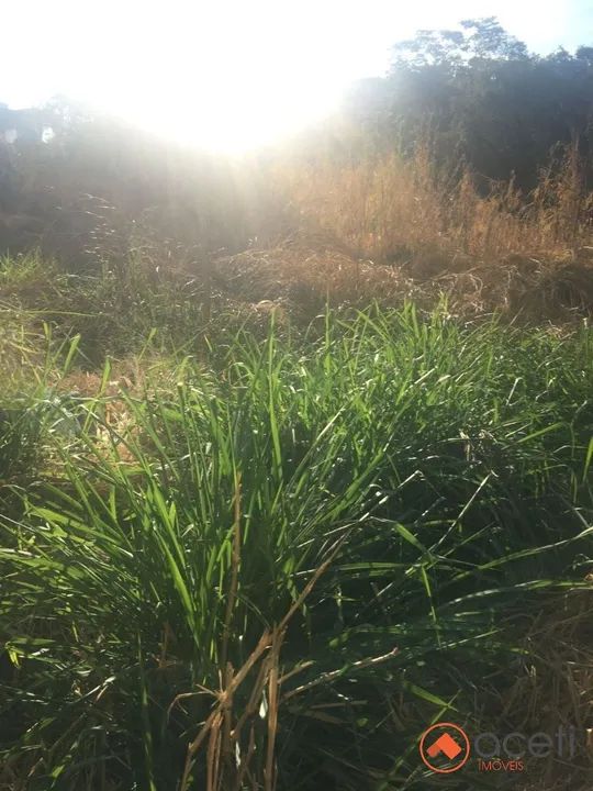 OPORTUNIDADE. LOTE COM MAIS DE 2900 MTRS PALMEIRAS - Foto 4