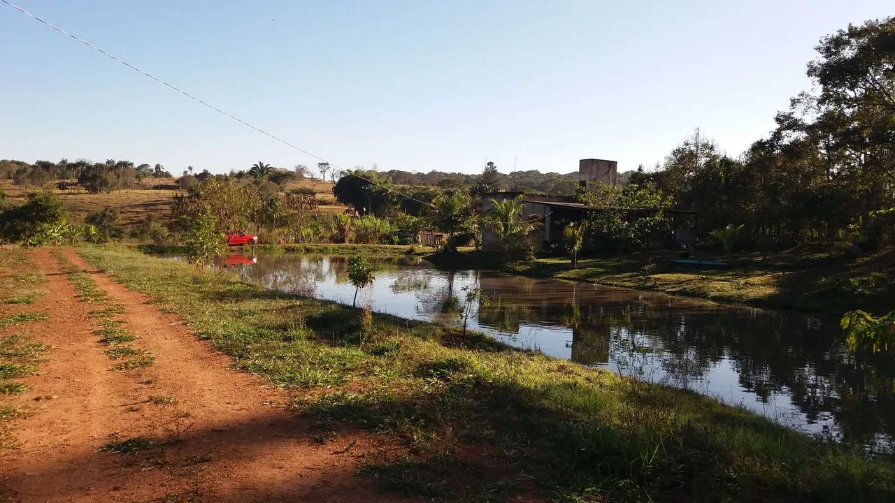 foto - Trindade - Setor Palmares