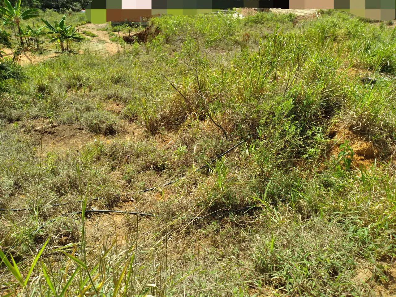 Jardim Salaco  - Foto 3