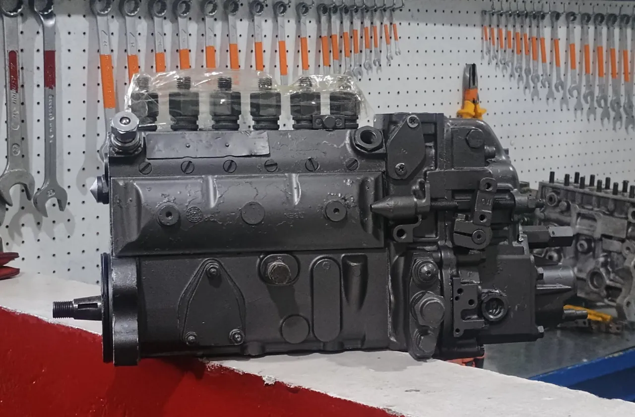 Bomba Injetora Diesel MWM 229
