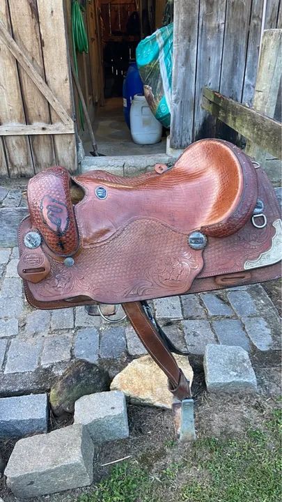 Sela americana ME traias