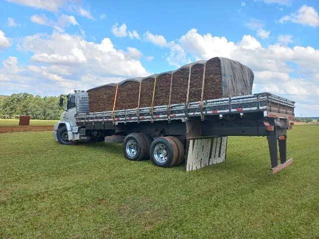 Grama Pronta Entrega Para Todo o Estado - Foto 4