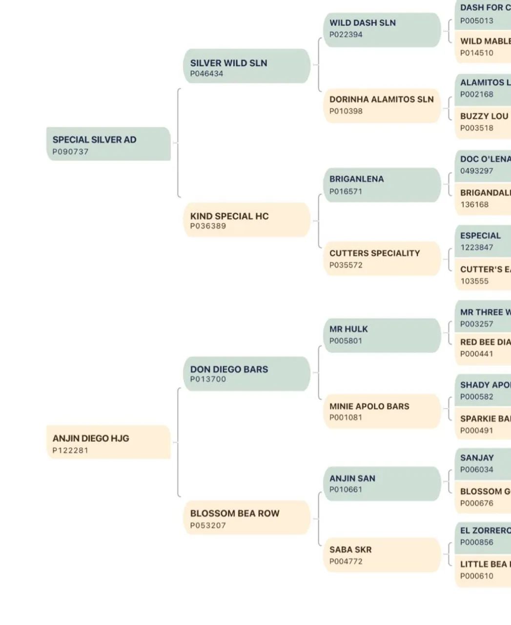 Linda Potra SPECIAL SILVER AD cobrindo DON DIEGO BARS  - Foto 4