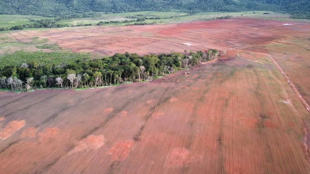 Fazenda em lavoura 