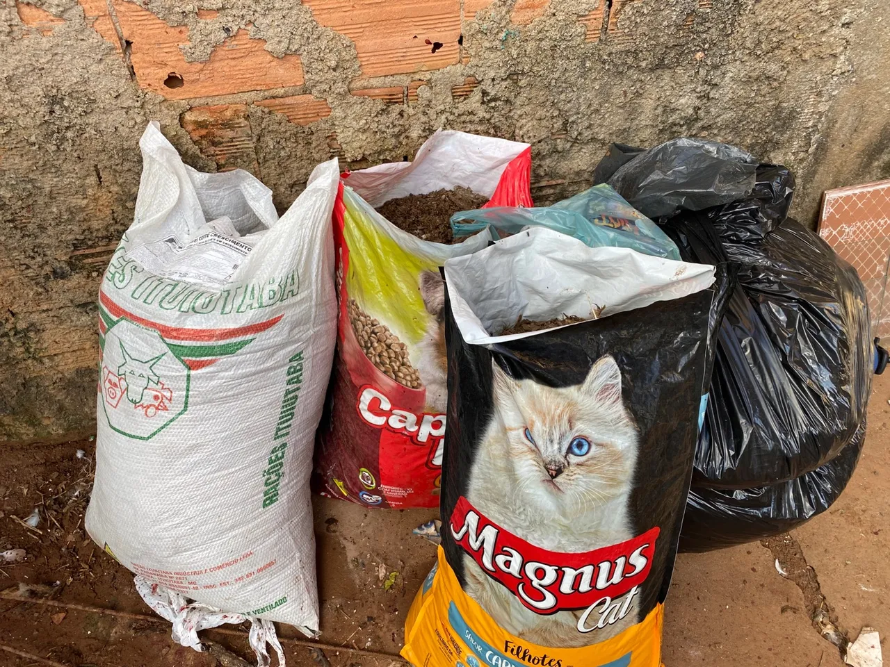 Esterco de galinha pronto pra uso