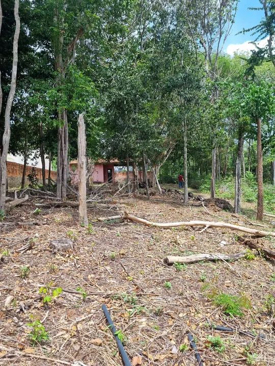 DS: Terreno em condomínio fechado, Fazenda Real  - Foto 4