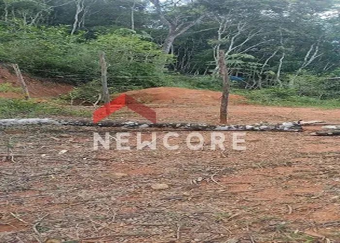Lote em Área Rural - Área Rural de Biguaçu - Biguaçu/SC - Foto 3