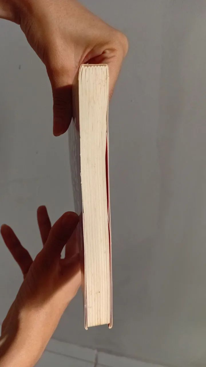 Livro: Enquanto não te encontro  - Foto 3