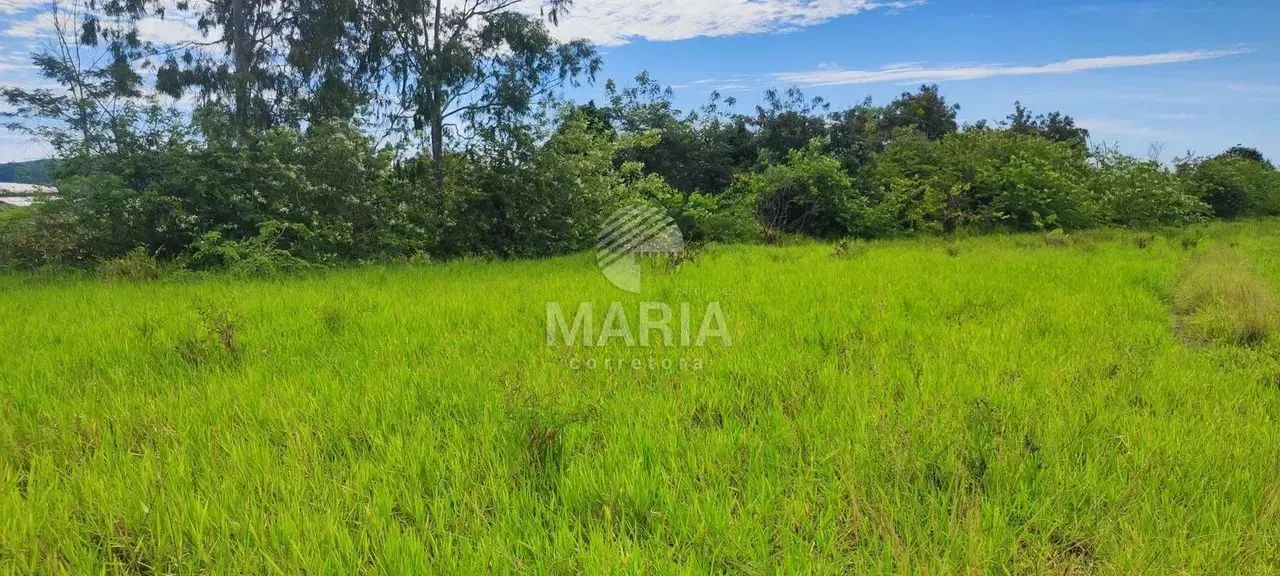 Área de 14 Hectares à venda em Chã Grande/PE! - Foto 4