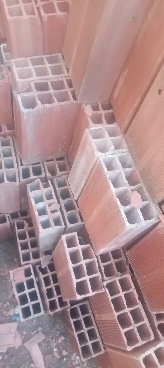 Tijolos 20x30