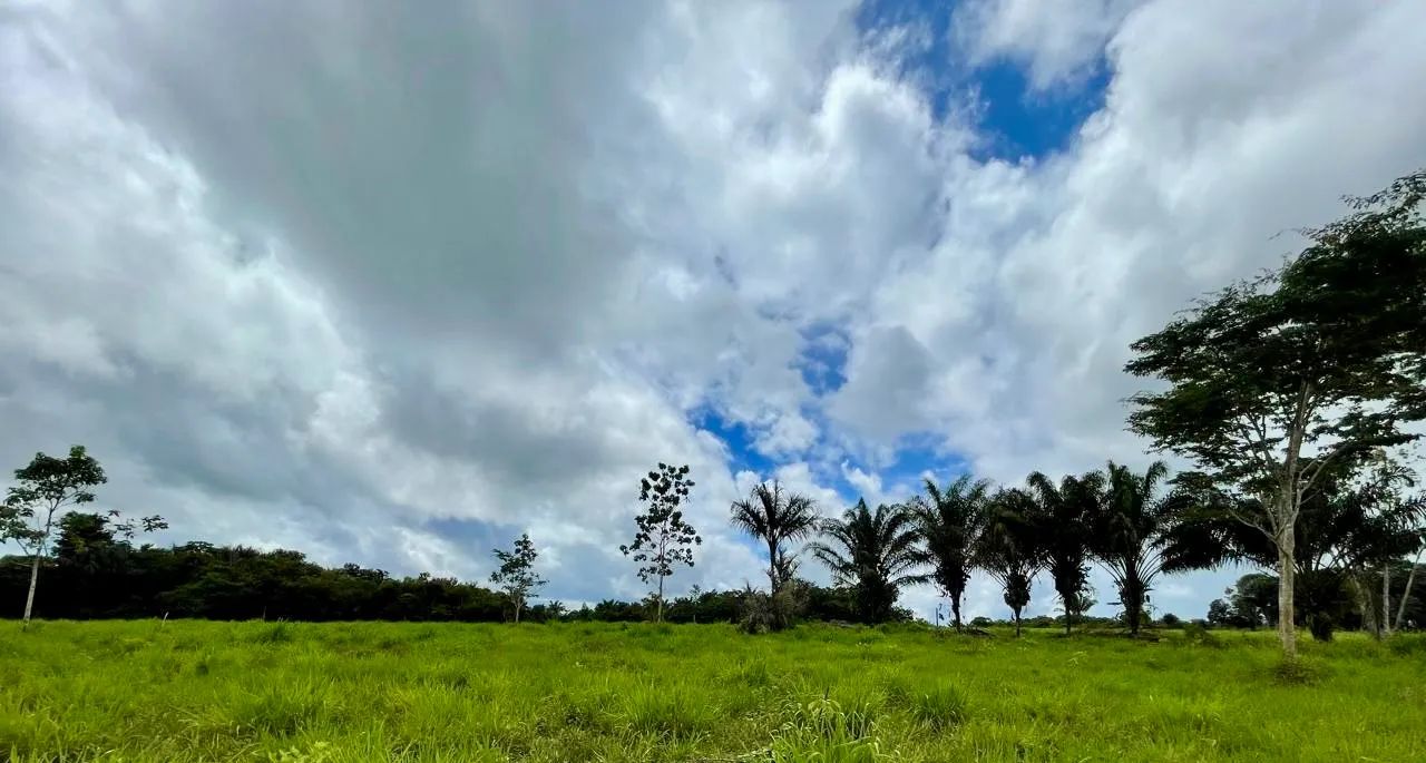 Oportunidade no Agronegócio  - Foto 5