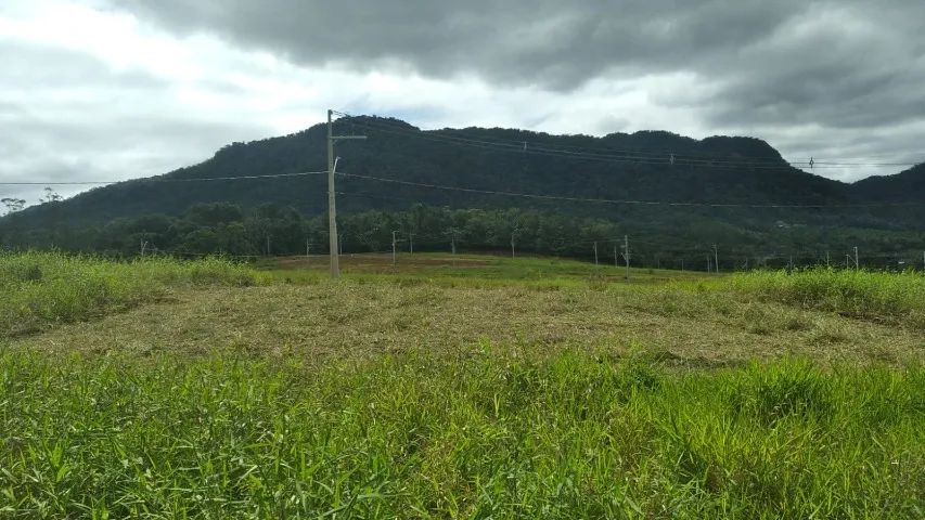 Vendo terreno em Schroeder - Foto 2