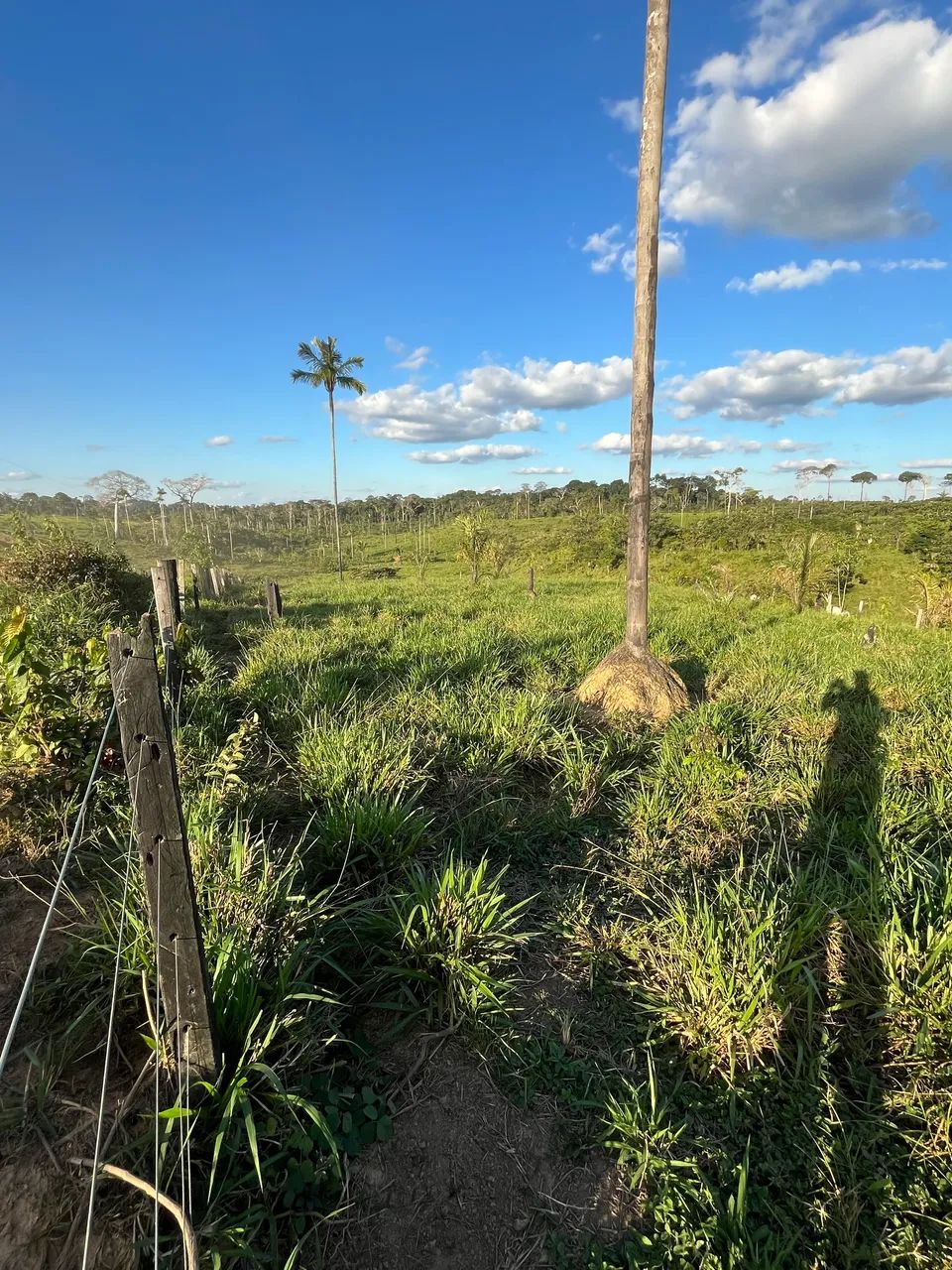Vende-se colônia - * - Foto 4
