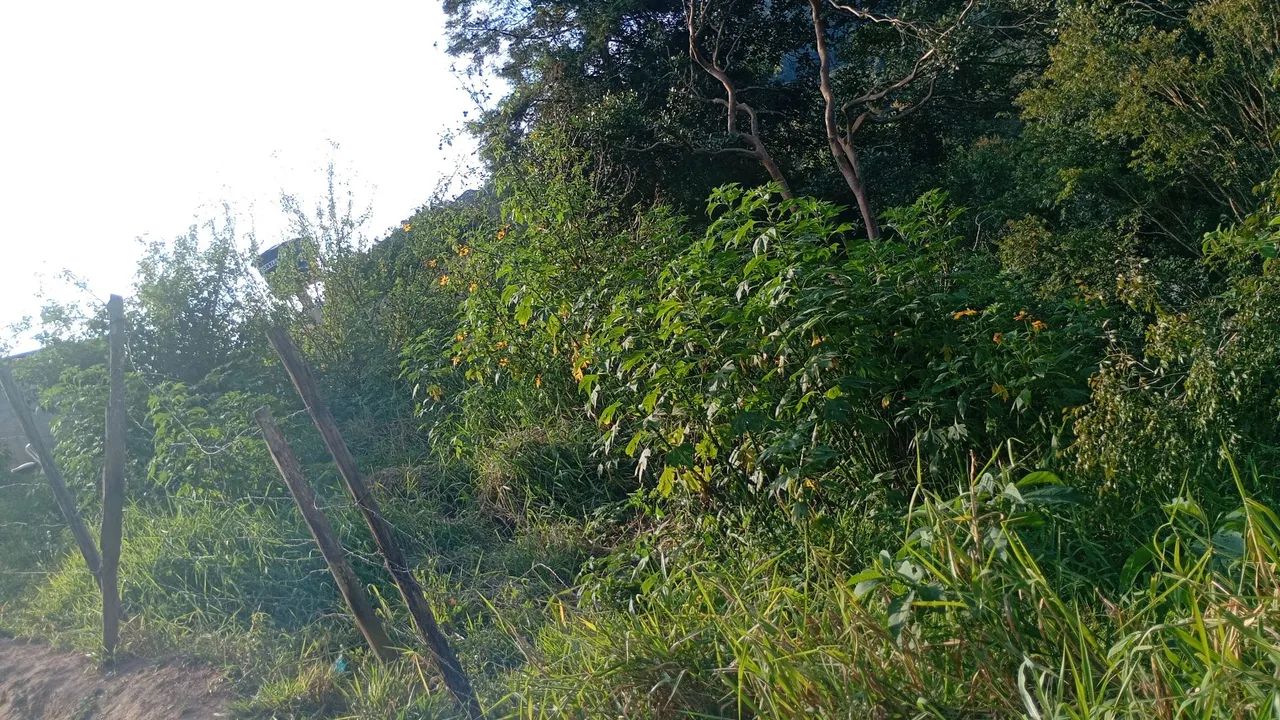 Terreno a venda  - Foto 4