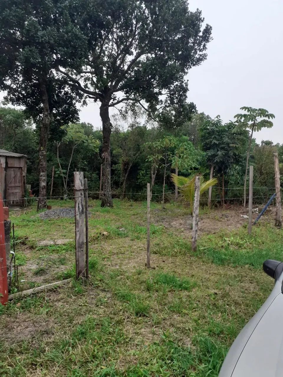 Lote ilha comprida  - Foto 5