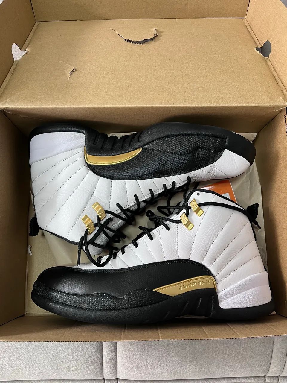 Air Jordan 12 retro 