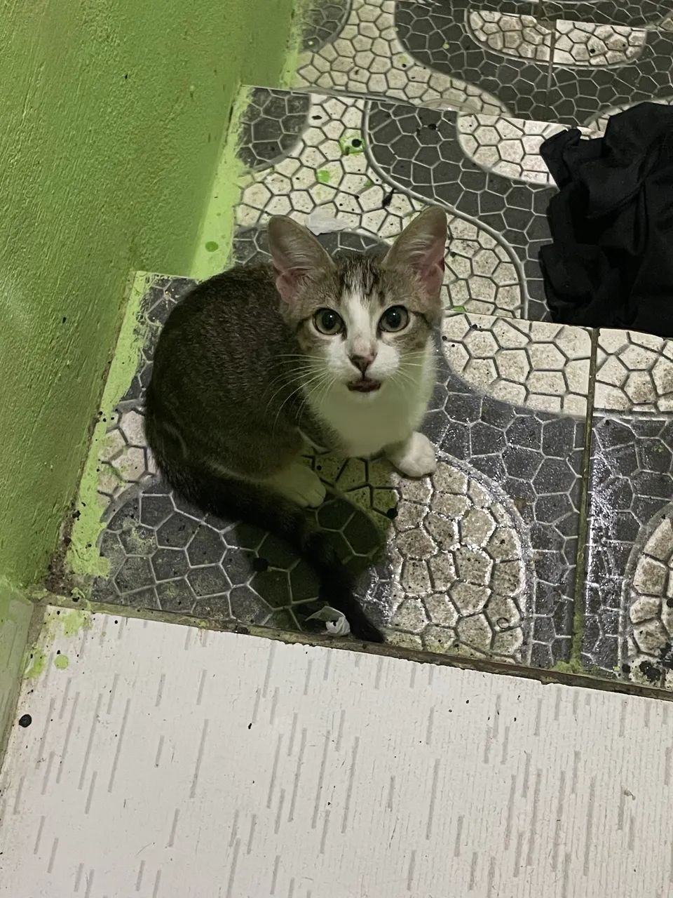 gata