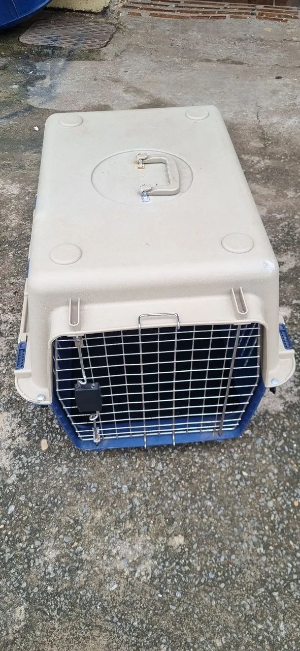 Caixa de transporte cão ?  padrões internacionais:valor 450 reais , telefone : * - Foto 4