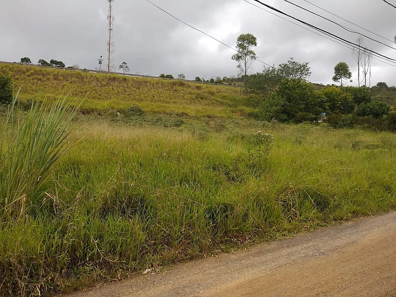 Lote / Terreno - São Pedro - Foto 2