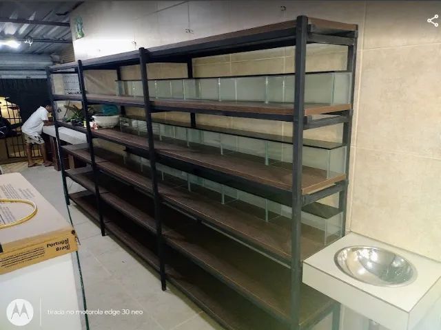 Estrutura Completa para Loja de Aquarismo e Pet Shop - Aquários, Estantes e Equipamentos - Foto 3