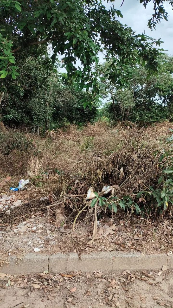 Vendo lote em campo verde  - Foto 2