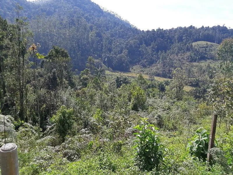 Terreno RODEIO - SC - Foto 4