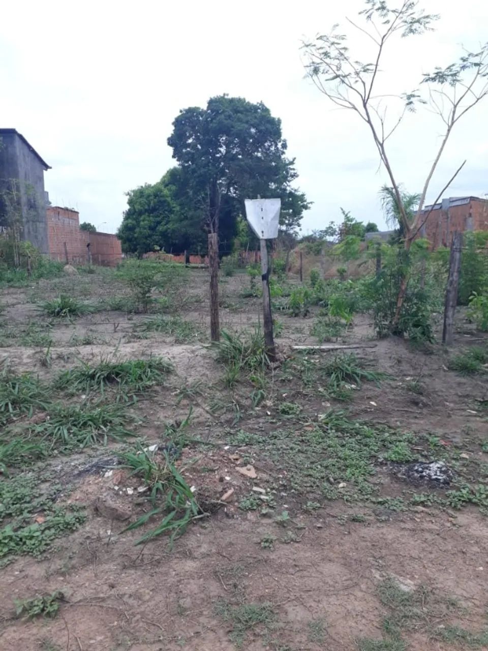 Lote Imperatriz Ma fundo AABB - Foto 2