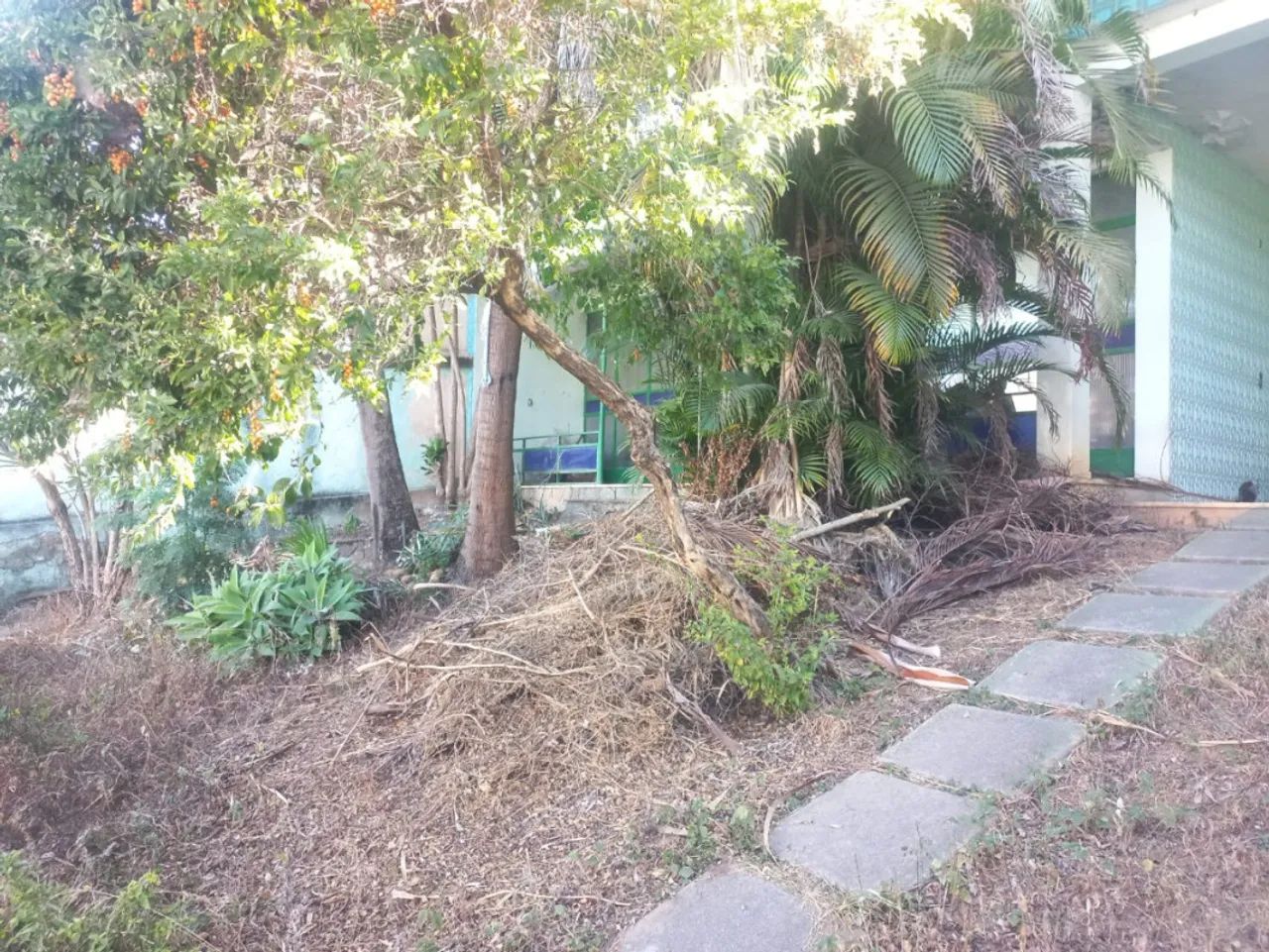 Casa Comercial com 3 quartos à venda em Belo Horizonte - Foto 4