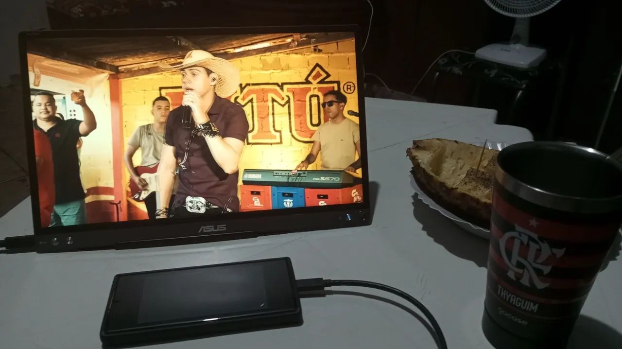 Monitor portátil 