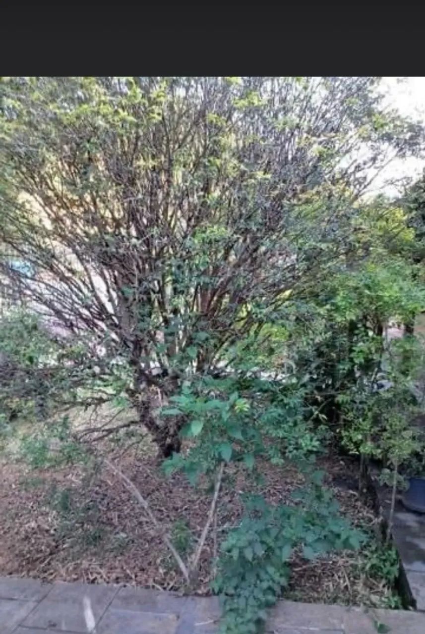 Vende-se uma excelente casa  - Foto 2