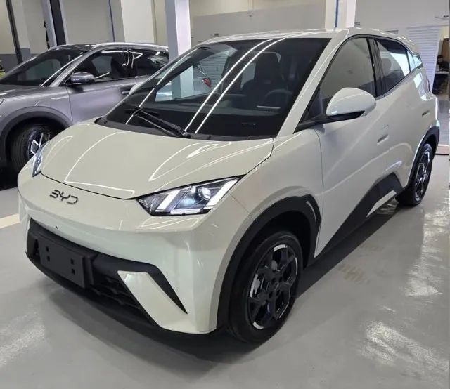 BYD Dolphin Mini (Elétrico) 2027 - Foto 2
