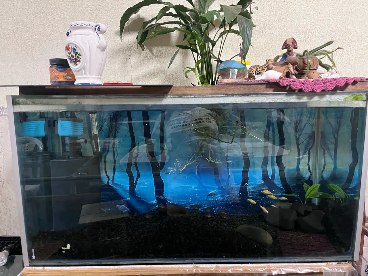 Aquário 200l