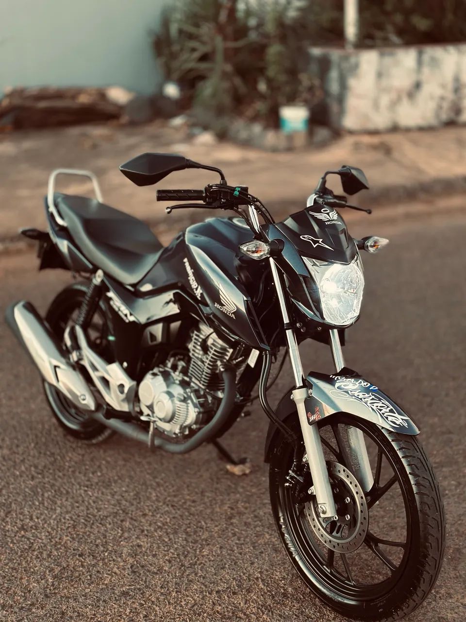 Fan flex 2024/2025 