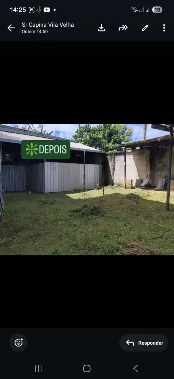 Roçagem de Lote e Quintal em Vila Velha | Preço Justo e Serviço Rápido - Foto 3