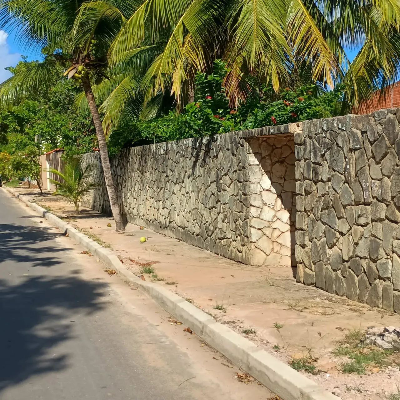 2 LOTES PARK RIO SAUACUY-IPIOCA - Foto 4
